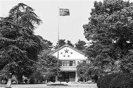 县委大院吃瓜事件