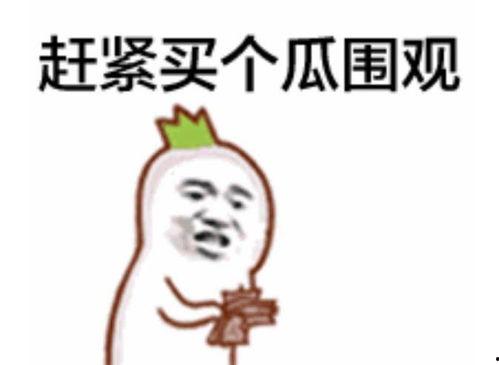 吃瓜群众斜眼视频,网络热梗背后的趣味与思考