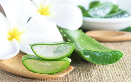 吃白瓜好处有哪些坏处,白瓜养生益处与潜在风险解析