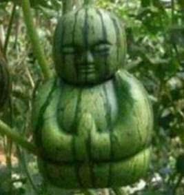 还原真相吃瓜,还原那些年被误传的“吃瓜”事件