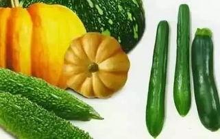 吃瓜季昕,探寻昕昕的瓜界传奇