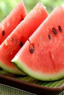 吃瓜吃网,揭秘网络时代的娱乐盛宴