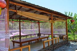 广职凉亭吃瓜,夏日吃瓜,清凉一夏