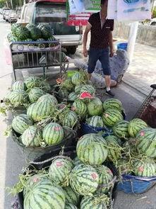 青州西城吃瓜事件,一场引发热议的街头冲突纪实