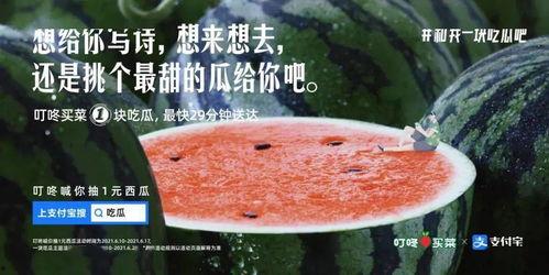 吃瓜文案怎么创作,吃瓜群众视角下的明星幕后故事