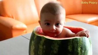 西瓜文案吃瓜baby,揭秘“吃瓜baby”的趣味生活