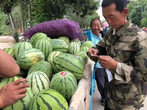湾湾吃瓜视频,揭秘娱乐圈幕后真相,带你领略明星生活百态