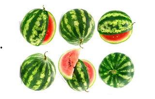 瑞嘉吃瓜视频,揭秘娱乐圈幕后故事