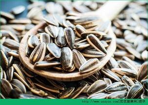 吃瓜不嫌瓜子多,吃瓜不嫌瓜子多，揭秘瓜子的魅力与奥秘