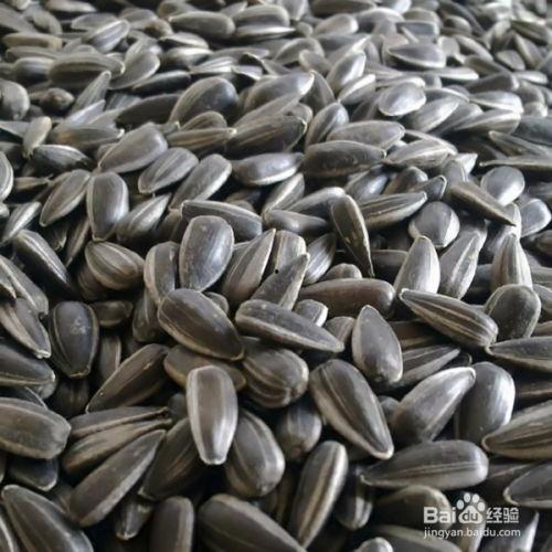 吃瓜不嫌瓜子多,吃瓜不嫌瓜子多,揭秘瓜子的魅力与奥秘