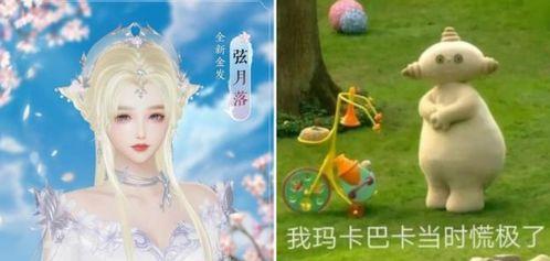 公主号吃瓜情报,公主号吃瓜情报大揭秘