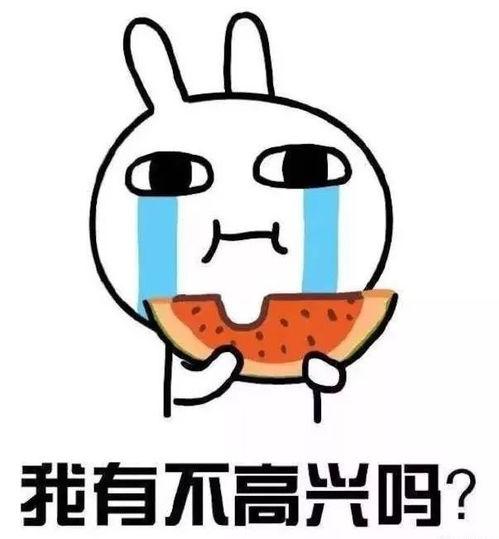 老布瓜怎么吃最好,解锁美味新境界