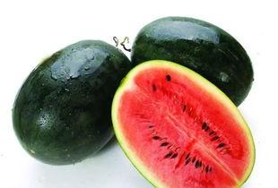 daum cafe怎么吃瓜,跟随Daum Cafe探索韩流八卦世界