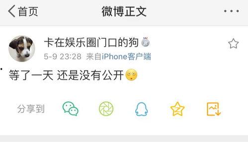 大庆吃瓜爆料在线,揭秘幕后真相,带你走进事件核心