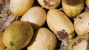 长期在网上吃瓜,见证时代变迁的“吃瓜”人生